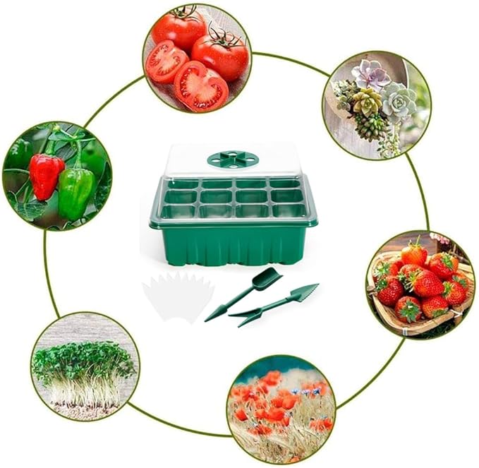 3 Pack Seed Starter Tray with Humidity Dome and Base (36 Cells Total), Plant Germination Kit for Seeds Growing Starting, Mini Seedling Propagator Small Greenhouse, Reusable Garden Supplies - Image 6