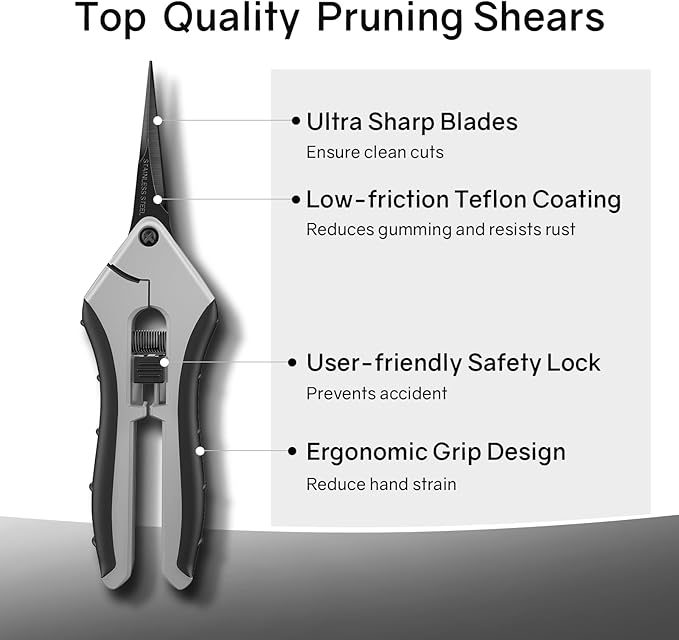 6.5" Ultra Sharp Pruning Shears - Professional Garden Scissors with Curved Stainless Steel Blades, Ergonomic Handle, Rust Resistant, Safety Lock, Trimming Scissors for Plants in Grow Tents, 2-Pack - Image 2