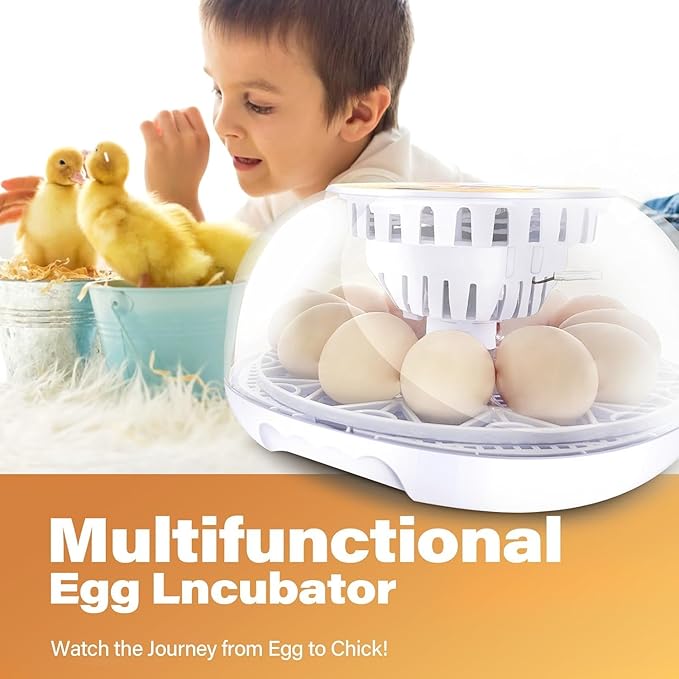 12 Egg Incubators for Hatching Eggs | with Auto Egg Turner, Temp & Humidity Control | 360° Viewing for Chicken, Duck, Quail Eggs | Ideal for Farm, School, Home - Image 6