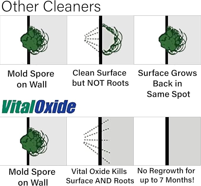 Vital Oxide Disinfectant, Deodorizer, Cleaner, Food-Contact Sanitizer, Virucide – (EPA registration #82972-1) – Kills Mold & Mildew, Eliminates Odors -4 Gallon - Image 2