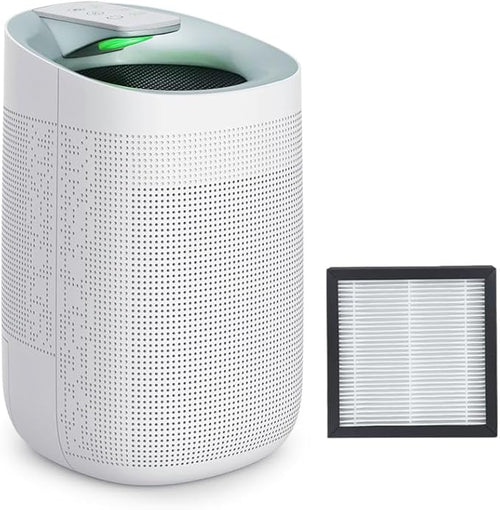 1000ml Air Dehumidifier w/Purifying Function for Home (800 Sq.Ft), Small Dehumidifiers with WIFI APP Control, Auto Shut Off, True HEPA Filter, Ideal for Closet Bedroom Bathroom 2 Filter by Unknown