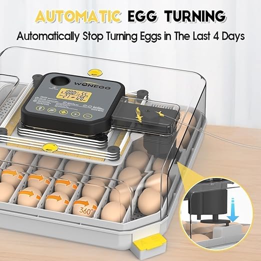 4th Gen – 48 Egg Fully Automatic Incubator, 2026 UpgradedDesign, Intelligent Sensor-Based Humidity & Temp Control, Custom Days, Adjustable Auto Turning & Stop, Chick Separator, Flexible Egg Spacing - Image 5