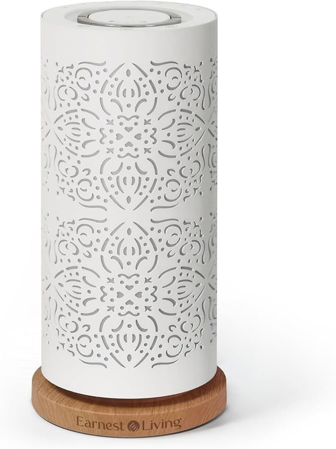 Earnest Living Waterless Diffuser 100ml Nebulizing Diffusion System for Studio Home Office Hotel Spa by EarnestLiving