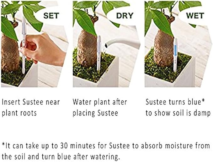 Sustee Aquameter (Small Green Refillable - Bundle of 2) - House Plant Soil Moisture Meter, Humidity Sensor Probe, Water Level Indicator - Best for Indoor Potted Plants - Image 2