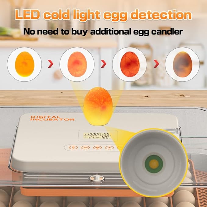Automatic 56-Egg Incubator for Breeders, Sensor-Based Precise Humidity & Temp Control, Adjustable Egg Spacing, Auto Turn & Auto Stop, Preset Incubation Days, Candler, Chick Separator - Image 5