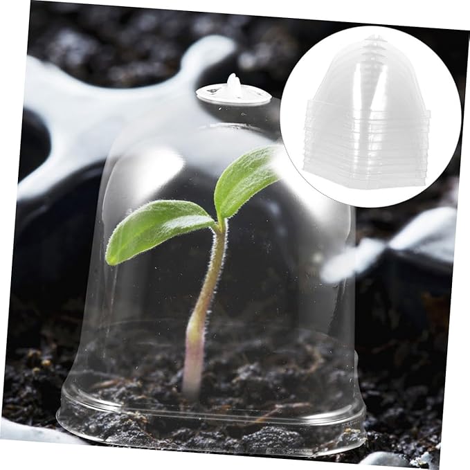 12pcs Reusable Garden Dome Covers Transparent Square Cloche for Succulents Efficient Humidity Preservation for Flower Pot Protection and Optimal Growing Environment - Image 7