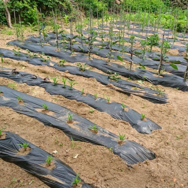 Vapor Barrier Supply -Black Plastic Sheeting - Black Plastic Tarp, Polyethylene Vapor Barrier Plastic Sheeting, Black Painters Tarp, Roll of Heavy Duty Plastic, Black Poly Cover (4 mil - 4' x 200') - Image 2