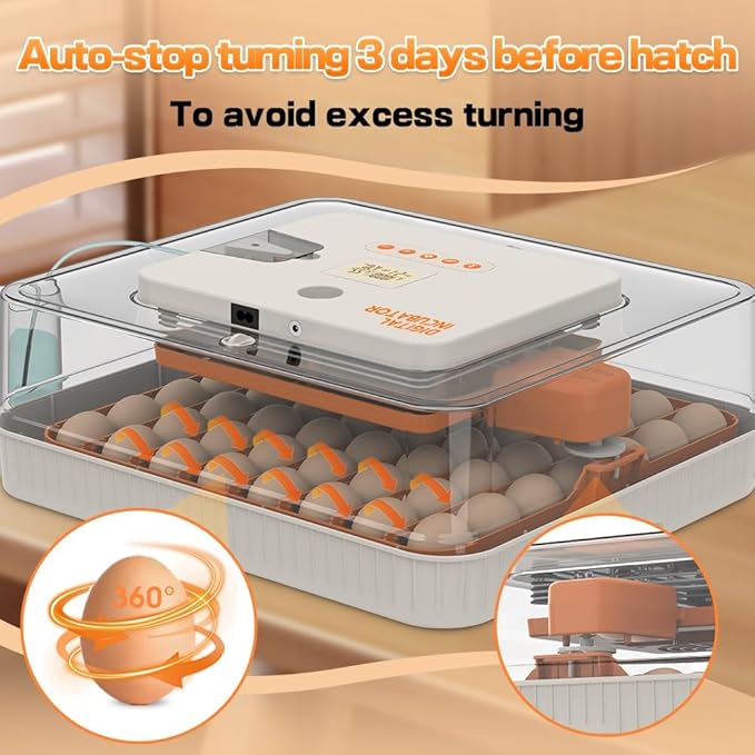 Automatic 56-Egg Incubator for Breeders, Sensor-Based Precise Humidity & Temp Control, Adjustable Egg Spacing, Auto Turn & Auto Stop, Preset Incubation Days, Candler, Chick Separator - Image 4