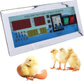 Egg Incubator Controller 110V Microcomputer Automatic Intelligent Temperature Humidity Control Thermostat for Chicken Quail Pigeons (#1) by Tissting