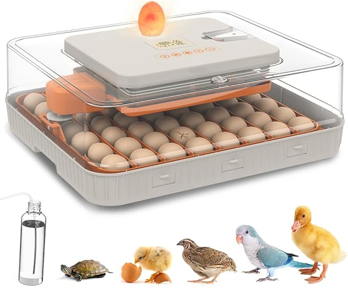 Automatic 56-Egg Incubator for Breeders, Sensor-Based Precise Humidity & Temp Control, Adjustable Egg Spacing, Auto Turn & Auto Stop, Preset Incubation Days, Candler, Chick Separator by ZEMIROCHARGE