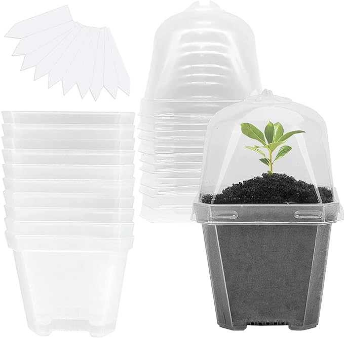 EBaokuup 10Pcs 4" Clear Plant Nursery Pots with Humidity Dome, Plastic Gardening Pot Plant Container, Seed Starting Pot with Drain Holes for Seedlings Vegetables Succulents Cuttings by EBaokuup