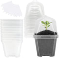 EBaokuup 10Pcs 4" Clear Plant Nursery Pots with Humidity Dome, Plastic Gardening Pot Plant Container, Seed Starting Pot with Drain Holes for Seedlings Vegetables Succulents Cuttings by EBaokuup