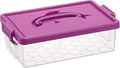 BTSKY 1-Pack Clear Plastic Storage Box with Lid, Stackable Organizer Featuring Easy-Lift Dolphin Design, Multi-Use Portable Container for Home, Craft, Office, Space-Saving with Secure-Clasp, Purple by BTSKY