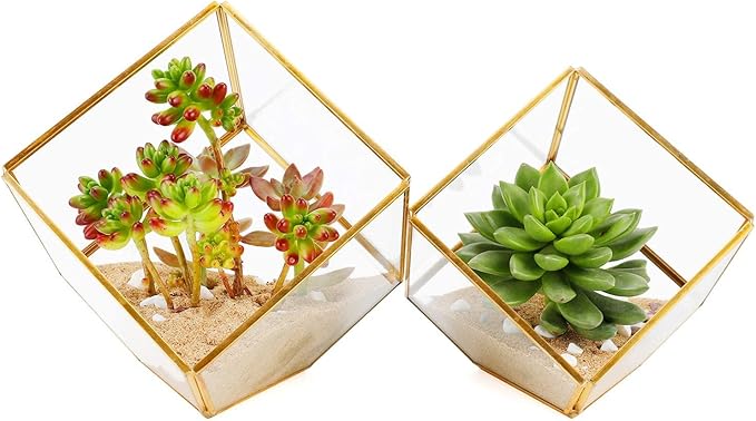 ELEGANTLIFE Glass Geometric Plant Terrarium,Succulent & Air Planter for Home Garden Office Decoration(Gold Cubic Set of 2) by ELEGANTLIFE