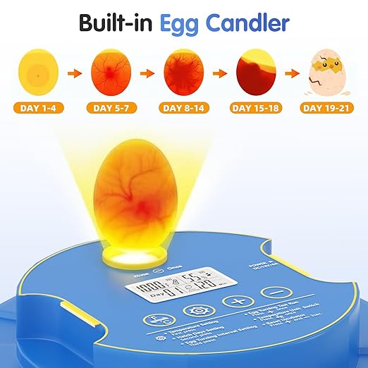 Chicken Egg Incubators for Hatching Eggs, 18 Egg Incubator with Automatic Egg Turning, Digital Control, 2 Egg Trays, Candler & Automatic Water Refill for Chicken Quail Duck Turkey Goose Bird - Image 6