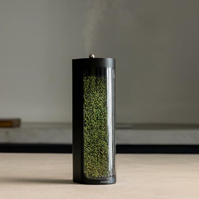 Moss Air – Living Moss Terrarium Humidifier | Soothing Mist Fountain & Ambient Light | Zen Desk Decor, Aesthetic Room Decor | Portable & Whisper-Quiet by mosslab