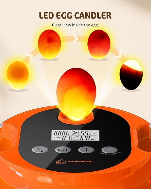 18 Egg Incubator with Automatic Turning & Humidity Control, Fully Automatic Incubators with 2 Trays, Egg Candler, for Hatching Chicken, Duck, Goose, Quail, Pigeon, Turkey, Home, Classroom, Farm Use - Image 8