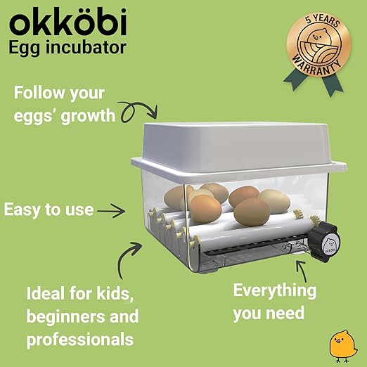 OBI-12 Incubator for Hatching Eggs – 36 Eggs, Easy to Use, Stable Temperature & Humidity Control with Eggloo Insulation - Orange - Image 2