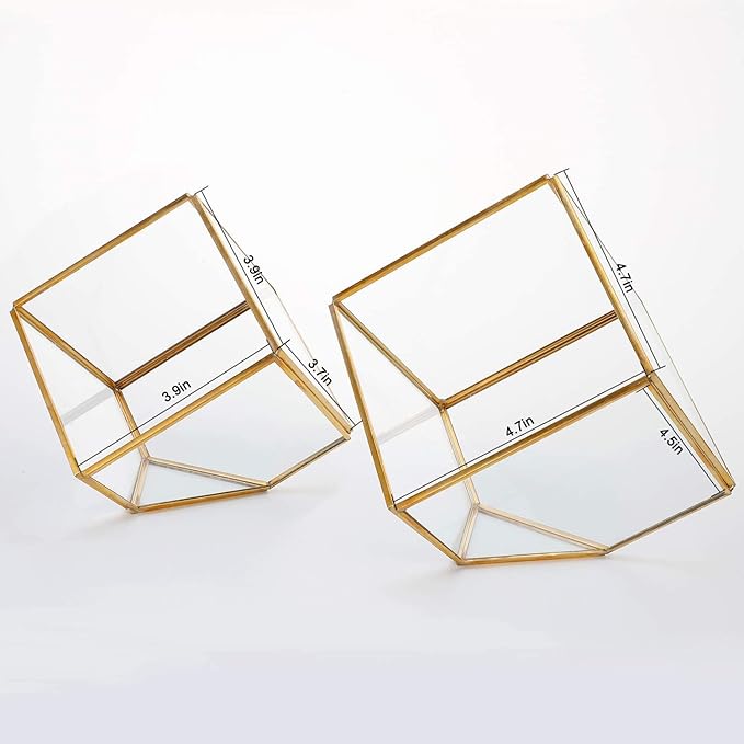 ELEGANTLIFE Glass Geometric Plant Terrarium,Succulent & Air Planter for Home Garden Office Decoration(Gold Cubic Set of 2) - Image 2