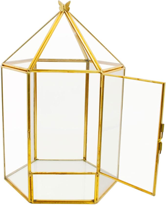 ELEGANTLIFE Glass Geometric Plant Terrarium,Succulent & Air Planter for Home Garden Office Decoration,No Plants(Gold Hexagonal) - Image 7