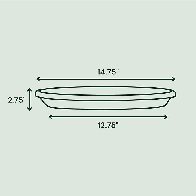 Bloem Terra Resin Saucer Tray: 12.75" Bottom Width - Vanilla Bean - Matte, Durable, Ribbed Bottom, Indoor and Outdoor, Fits 16" Terra Pots - Image 3