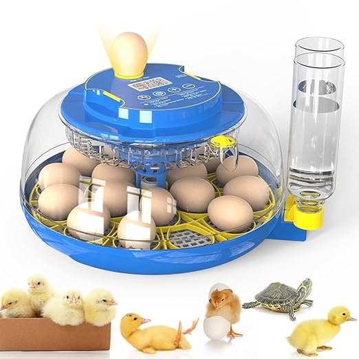 incubators for hatching eggs，18 Egg Incubator,egg incubator with automatic egg turning and humidity control，incubator for chicken eggs，chicken incubators for hatching eggs，quail egg incubator by WONEGG