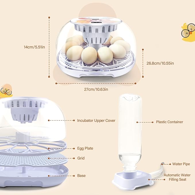 12 Egg Incubators for Hatching Eggs | with Auto Egg Turner, Temp & Humidity Control | 360° Viewing for Chicken, Duck, Quail Eggs | Ideal for Farm, School, Home - Image 8