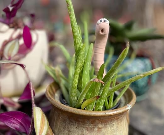 Cute Ceramic Soil Moisture Indicator for Houseplants – Temperature-Sensitive Color Change Worm – Garden Decor for Indoor Pots, Gift for Labor Day - Image 7