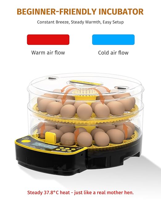 Egg Incubators for Hatching Eggs, Double-Layer 48 Egg Incubator with Temperature and Humidity Control, Egg Candler, Automatic Egg Turner, Clear Window Incubator for Chicks Duck Quail Eggs - Image 2
