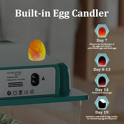 Incubators for Hatching 16 Eggs, Egg Incubator with Automatic Egg Turning and Humidity Fill, Temperature Control, Incubator with Adjustable Rollers for Chickens, Ducks, Geese, and Quails - Image 6