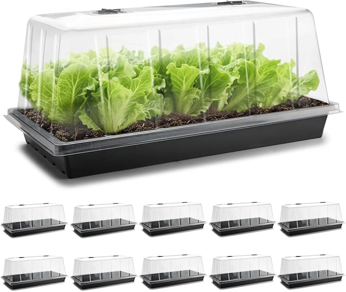 1020 Trays with Tall 7.3'' Dome, 10-Pack Extra Large Seed Starter Tray with Humidity Domes, Heavy Duty 1020 Seed Trays and Flats with Lid, Seed Germination Mini Greenhouse No Hole for Balcony Garden by RooTrimmer