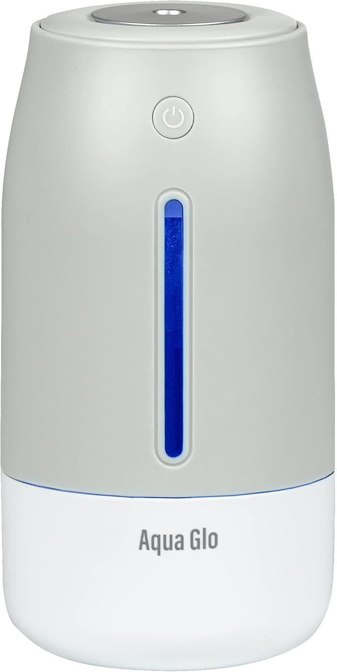AG250HUM-V2-S Personal Humidifier, Silver by Airvana