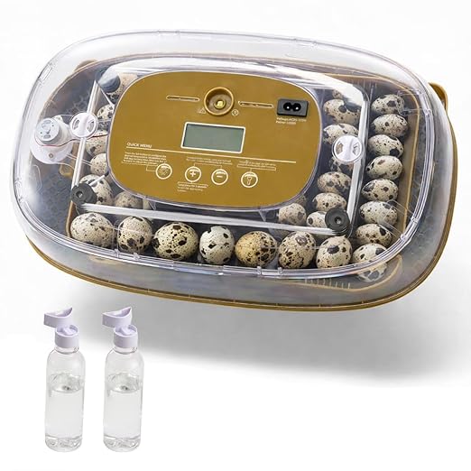 HIRALIY Incubator for Hatching Eggs, 48 Quail Capacity, Chicken & Quail Egg Incubator with Automatic Egg Turning and Humidity Control, 360° Viewing for Home, Farm, Classroom by HIRALIY