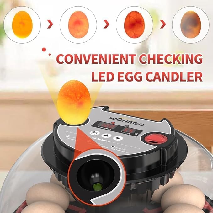 Explore+ 12 Egg Incubator for Beginners, Multi-Level Adaptive Humidity (Auto-Refill & Dual-Bottle) & Stable Temp Control, Auto Egg Turning, Real-Time Display, Candler for Hatching Poultry Eggs - Image 6