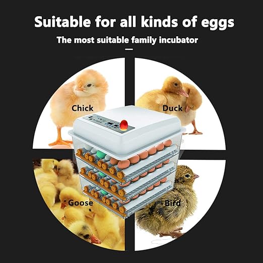 JAEDO 170 Egg Incubator Poultry Hatcher with Fully Automatic Egg Turning and Temperature Humidity Control for Chickens Ducks Goose Birds, Built-in Egg Candler (176) - Image 2