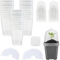 Hyuetrsa 30 Sets Plant Nursery Pots with Humidity Domes, 3" Plastic Gardening Pot with 30 Pcs Labels, Clear Seed Starting Pot Planter Containers with Drain Holes for Seedlings Vegetables Succulents by Unknown