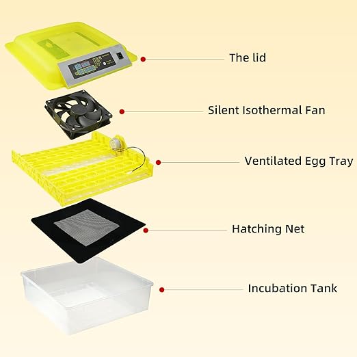 Egg Incubator for Hatching Eggs, Automatic Egg Turner & Digital Humidity Control, 56 Egg Capacity, Clear Temperature Display, Externa, 360° Clear Viewing for Poultry, Ducks, Quail (48-56 Eggs) - Image 6