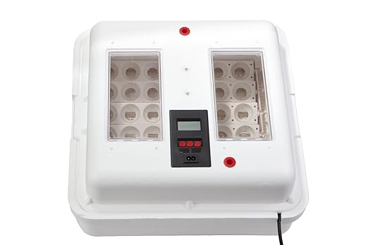Little Giant® Digital Circulated Air Incubator with Automatic Turner | 41 Egg Capacity | Chick Egg Hatching Incubator with Fan and Egg Turner | Made in USA - Image 4