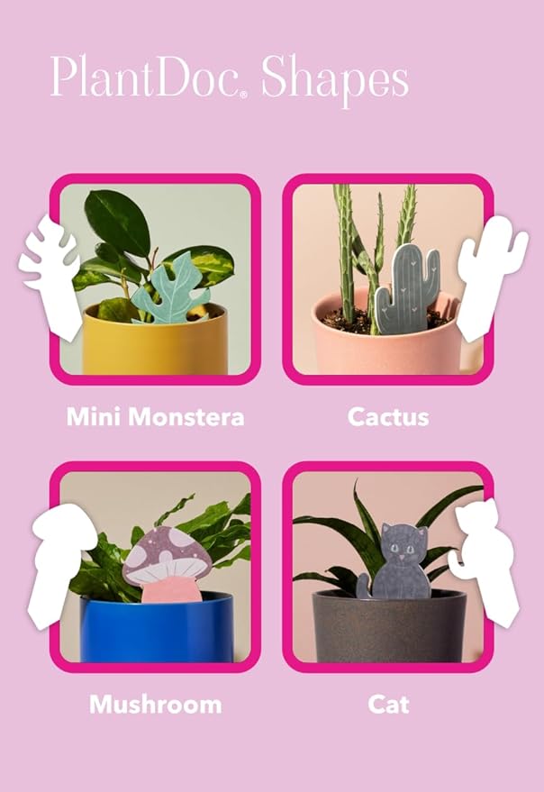 Biodegradable Soil Moisture Meter, Visual Reminder to Water Your Indoor Plants - Tool to fIx overwatering and Under-Watering houseplants (Cactus PlantDoc - 5 Pack) - Image 4