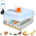 Incubators for Hatching Eggs 16 Egg Automatic Egg Incubator with Temperature Control Humidity Control and Display for Goose Chicken Duck Quail Pigeon Eggs Auto Turner,Light Blue by ZtexkeeHomeFurniture