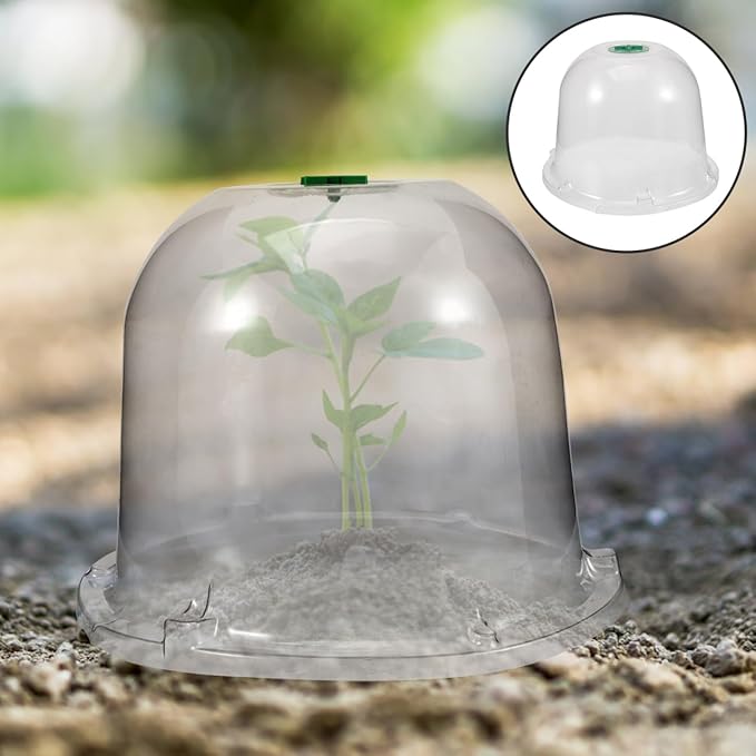 Mikikit Garden Cloche Dome Seedling Cover Plant Humidity Dome Nursery Protector with Air Vent Transparent Grow 10.23X10.23X7.87In - Image 9