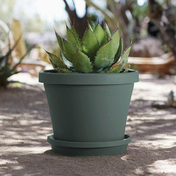 Bloem Terra Resin Saucer Tray: 9.25" Bottom Width - Basil Green - Matte, Durable, Ribbed Bottom, Indoor and Outdoor, Fits 12" Terra Pots - Image 2