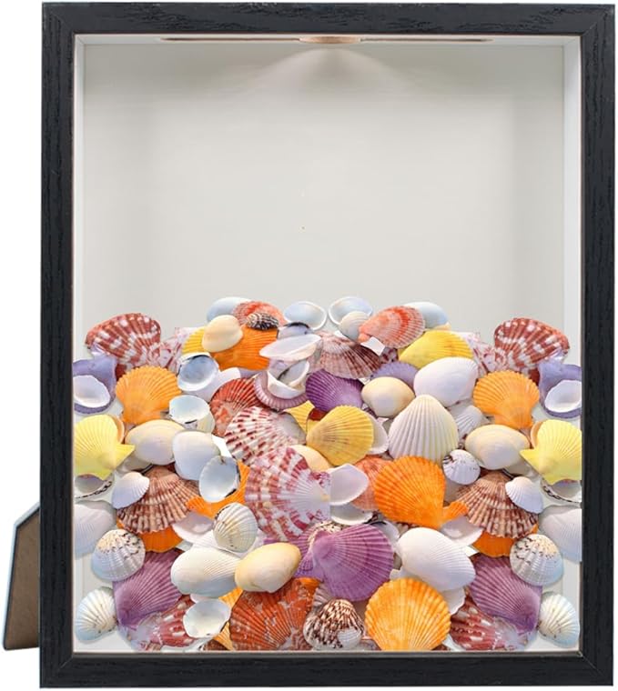 Shell Shadow Box Display Frame with Top Slot and Clear Front Panel, 8.5 x 10 Inch Black Tabletop & Wall Mounted Shadow Storage Frame for Shell, Concert Ticket, Dry Flowers, Coins, Stamps and Bills by SnowTing