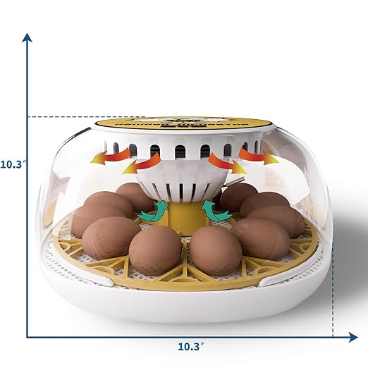 Egg Incubator for Hatching Chicks, 12-24 Egg Incubators with Auto Turning, Automatic Water Top-up, Fahrenheit Display, 360° View Poultry Incubator for Hatching Chicken Duck Quail Parrot - Image 2