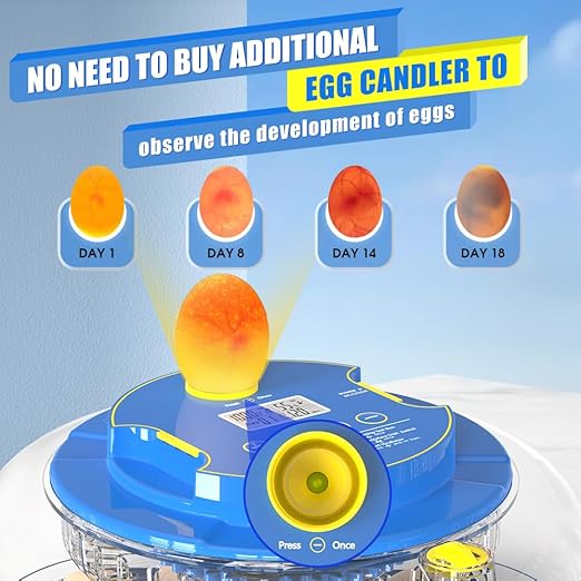 incubators for hatching eggs，18 Egg Incubator,egg incubator with automatic egg turning and humidity control，incubator for chicken eggs，chicken incubators for hatching eggs，quail egg incubator - Image 5