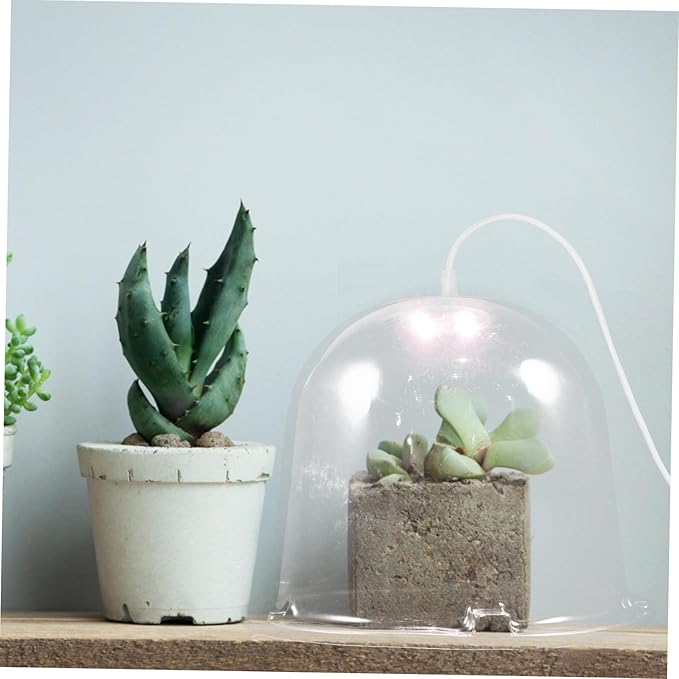 Garden Plant Dome with Light Transparent Reusable Plant Cover for Heat Preservation and Humidity Control for - Image 9