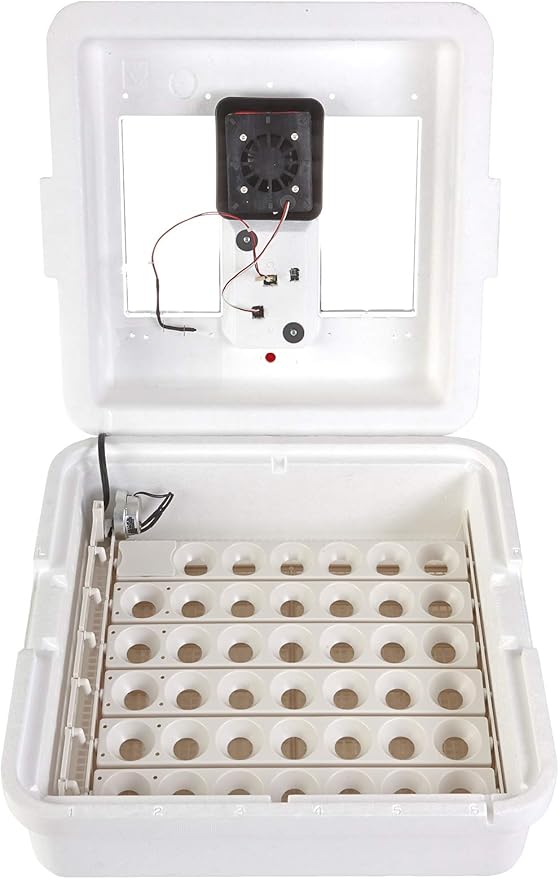 Little Giant® Digital Still Air Incubator | 41 Eggs | Egg Incubator with Temperature and Humidity Control | Chick Incubator - Image 4