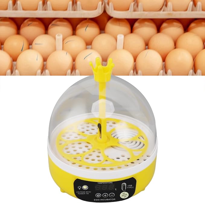 Hapivida 4 Eggs Mini Automatic Incubator, 7W Temperature Humidity Control Poultry Incubator Household Egg Turner for Chicken Duck or Other Eggs - Image 4