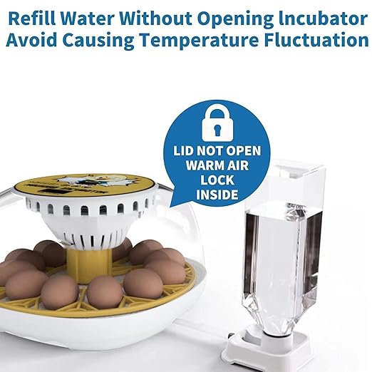 Egg Incubator for Hatching Chicks, 12-24 Egg Incubators with Auto Turning, Automatic Water Top-up, Fahrenheit Display, 360° View Poultry Incubator for Hatching Chicken Duck Quail Parrot - Image 5