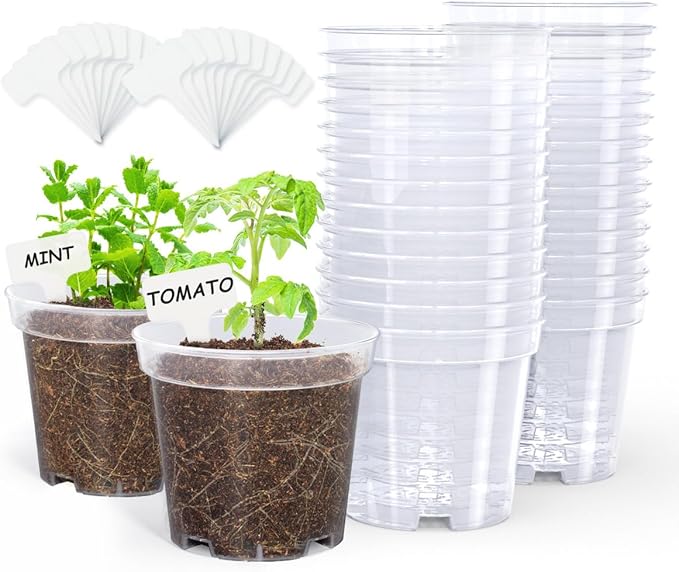 homenote Clear Nursery Pots for Plants,4 Inch Plant Pot for Planting Plastic Seedling with Drainage Holes Seed Starter Flower High Transparency with 20 Labels (30 Pack) by HOMENOTE